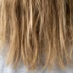 Damaged hair